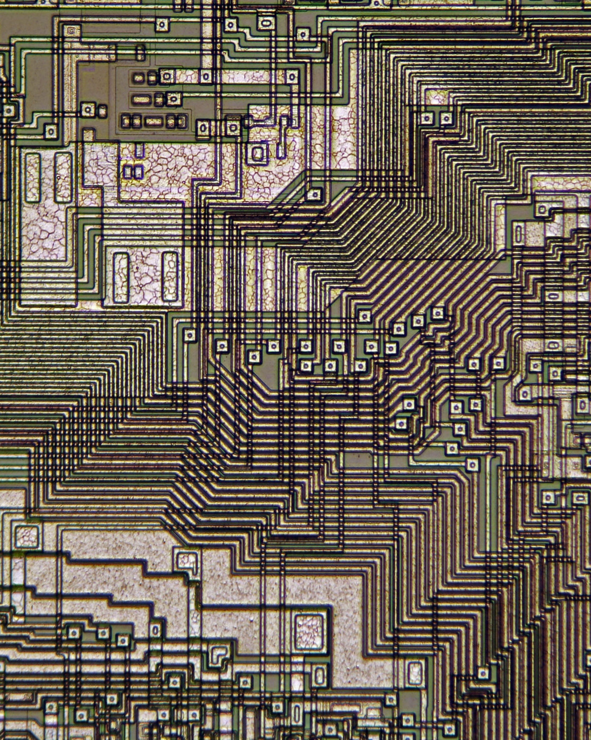 close up of computer chip in shades of green and brown