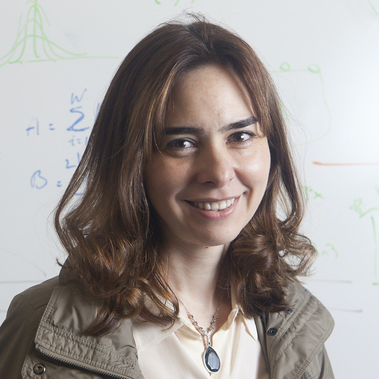 photo of Dina Katabi in front of whiteboard (photo credit: MacArthur Foundation)