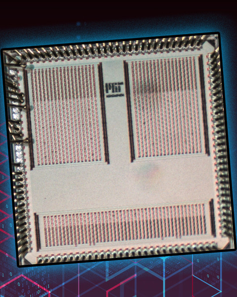 microchip
