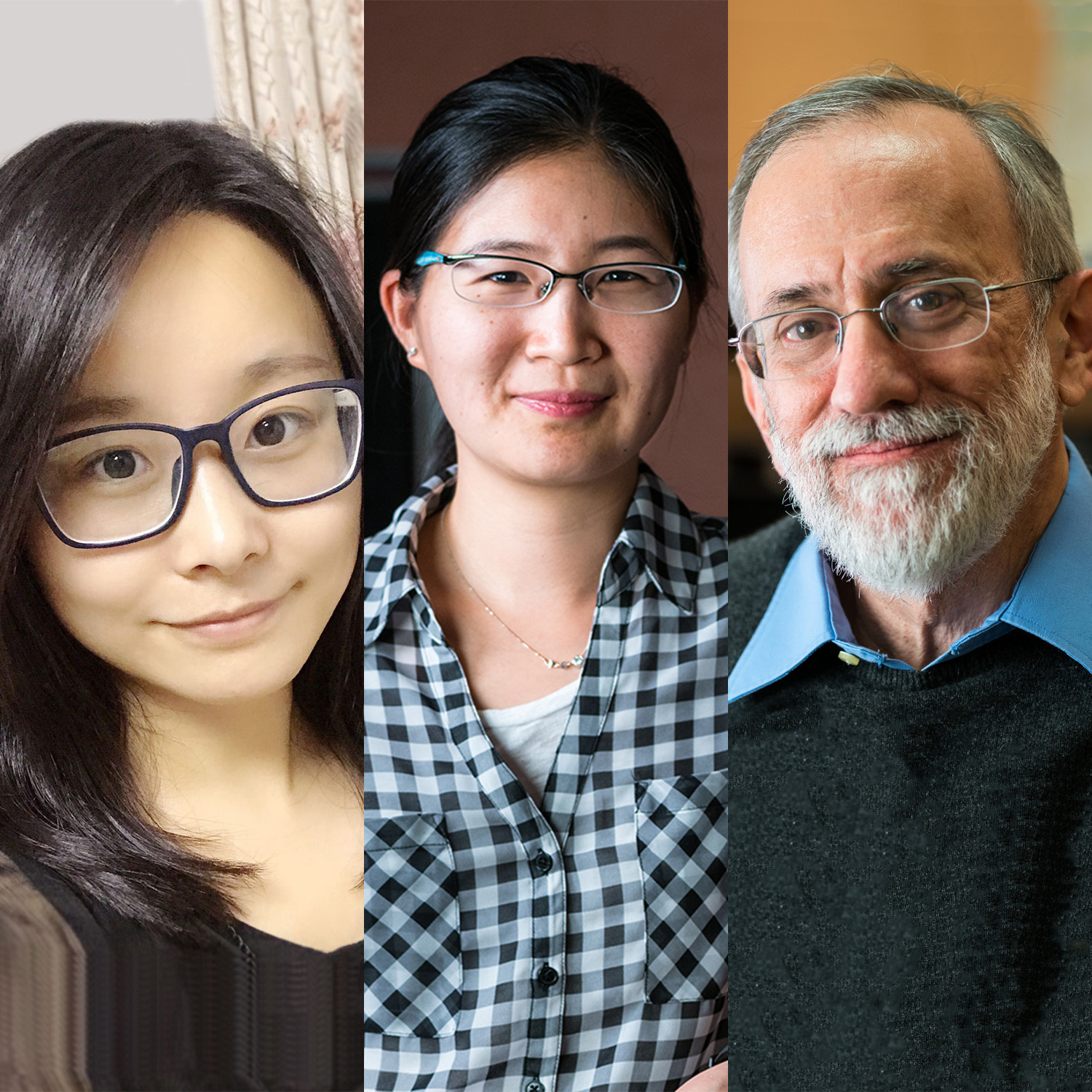 photo collage of two women and one man all wearing glasses