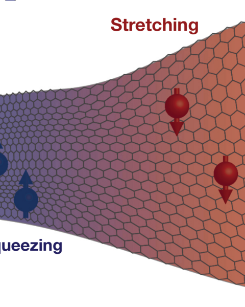 A rectangular vector map with hexagons distorted on the left by squeezing and on the right by stretching, showing how charged particles are directed to the top or bottom edge of the map