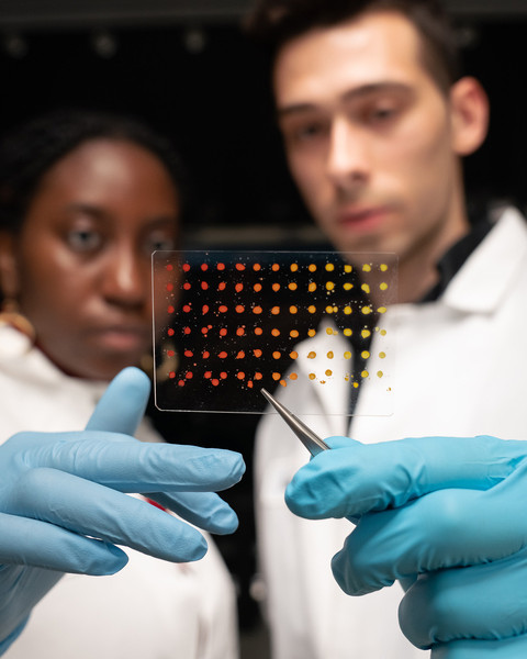 Eunice Aissi, left, and Alexander Siemenn each hold up a clear mat with dotted samples with gloved hand. They are wearing lab coats.