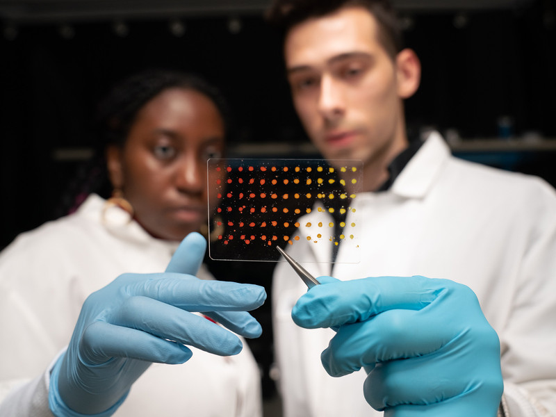 Eunice Aissi, left, and Alexander Siemenn each hold up a clear mat with dotted samples with gloved hand. They are wearing lab coats.