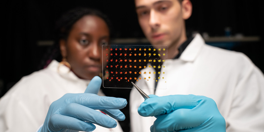 Eunice Aissi, left, and Alexander Siemenn each hold up a clear mat with dotted samples with gloved hand. They are wearing lab coats.