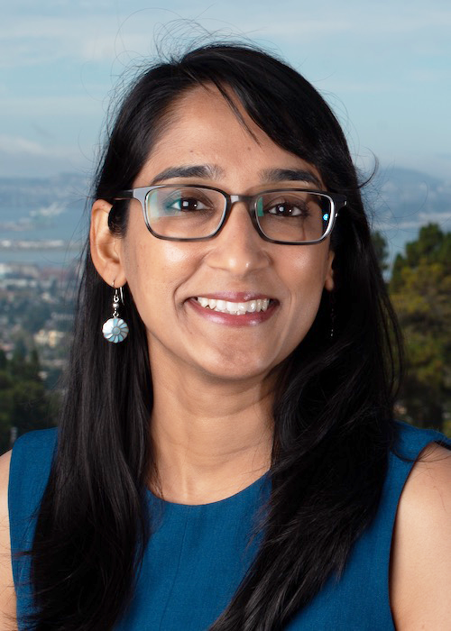 woman with glasses and long dark hair wearing a blue shirt in front of a cityscape and distant mountains