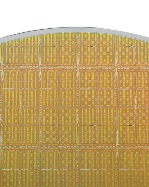 Close-up of a golden silicon disk against a white background. About 100 integrated circuits are visible within the disk.